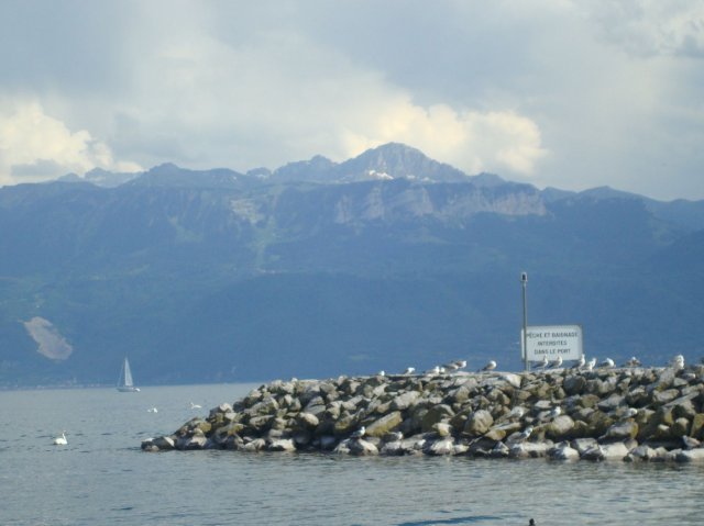lausannepen_2011 45